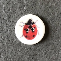 Ladybird Smaller Medium Button